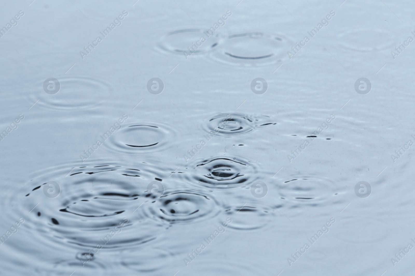 Photo of Rain drops falling down into puddle outdoors