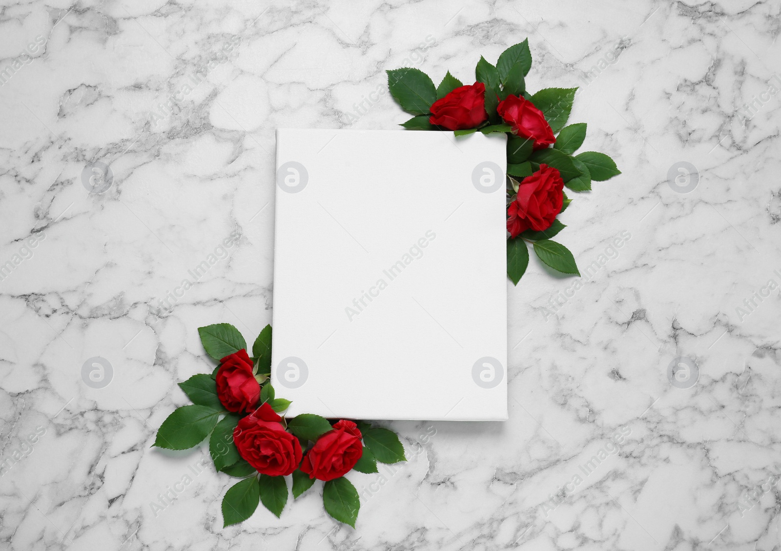 Photo of Blank canvas and beautiful red roses on white marble table, flat lay. Space for design