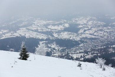 Photo of Picturesque view of trees covered with hoarfrost and snowy mountains on winter day