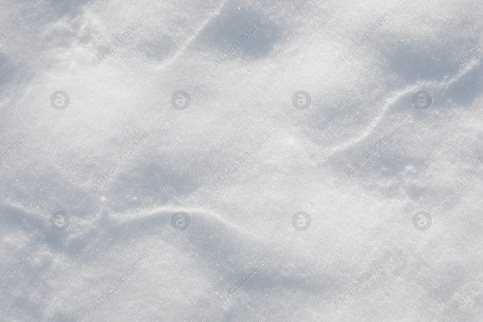 Photo of White snow as background, top view. Winter season