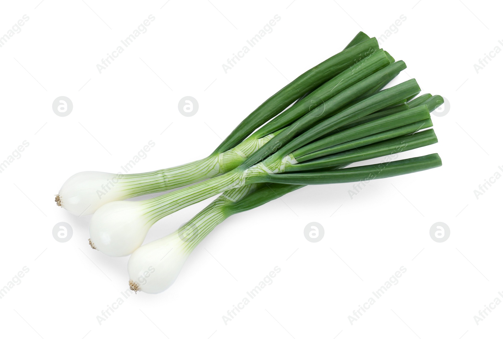 Photo of Whole green spring onions isolated on white, top view