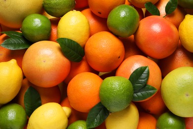 Photo of Different fresh citrus fruits and leaves as background, top view