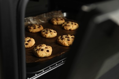 Baking delicious chocolate chip cookies in oven, closeup