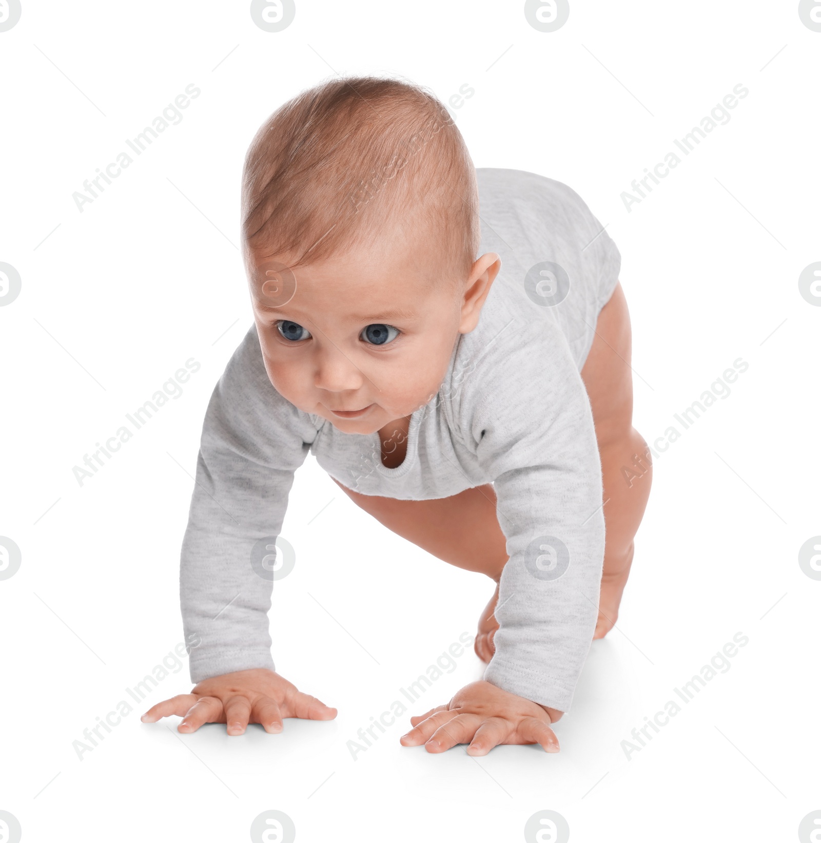 Photo of Cute little baby crawling on white background