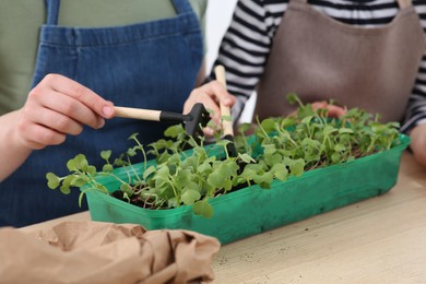 Photo of Mother and daughter planting seedlings into plastic container together at wooden table, closeup