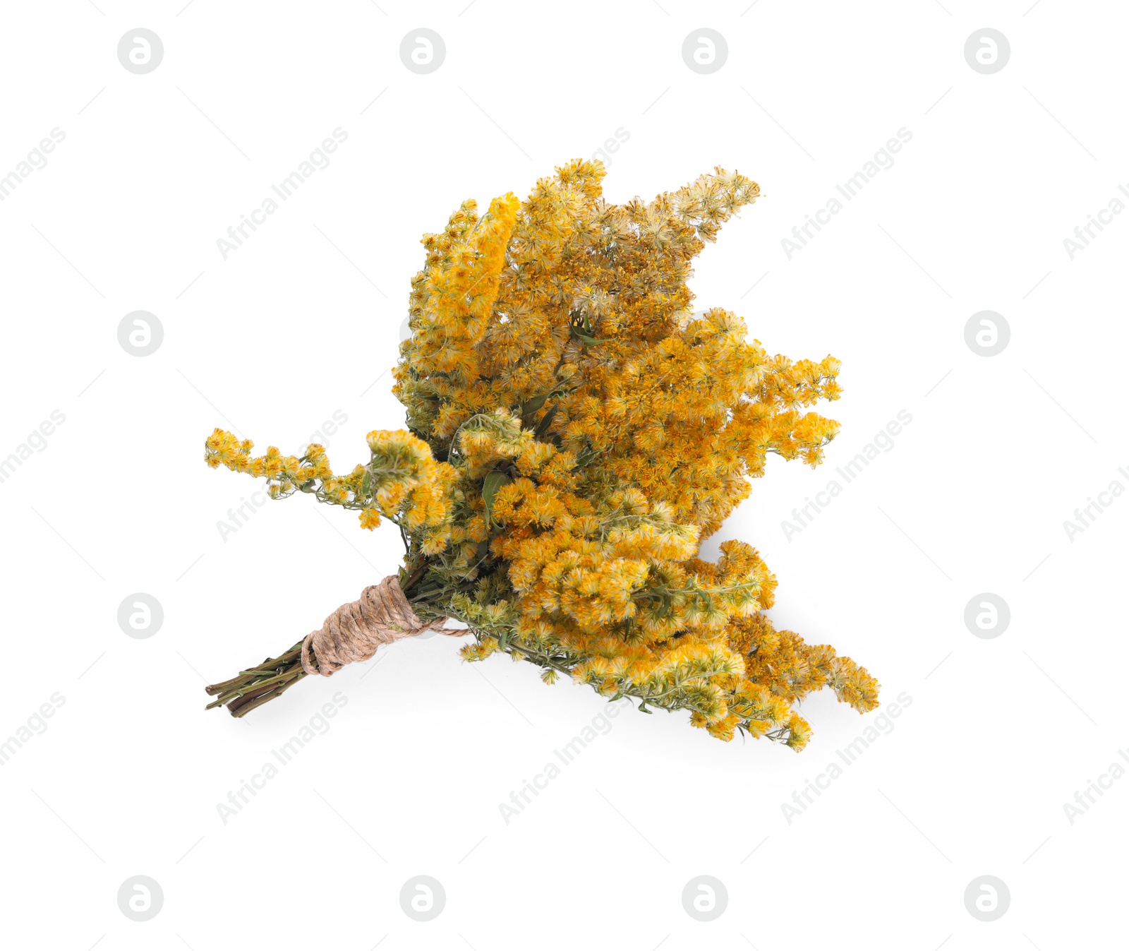 Photo of Bunch of dry herb isolated on white, top view