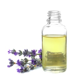 Photo of Bottle of essential oil and lavender flowers isolated on white