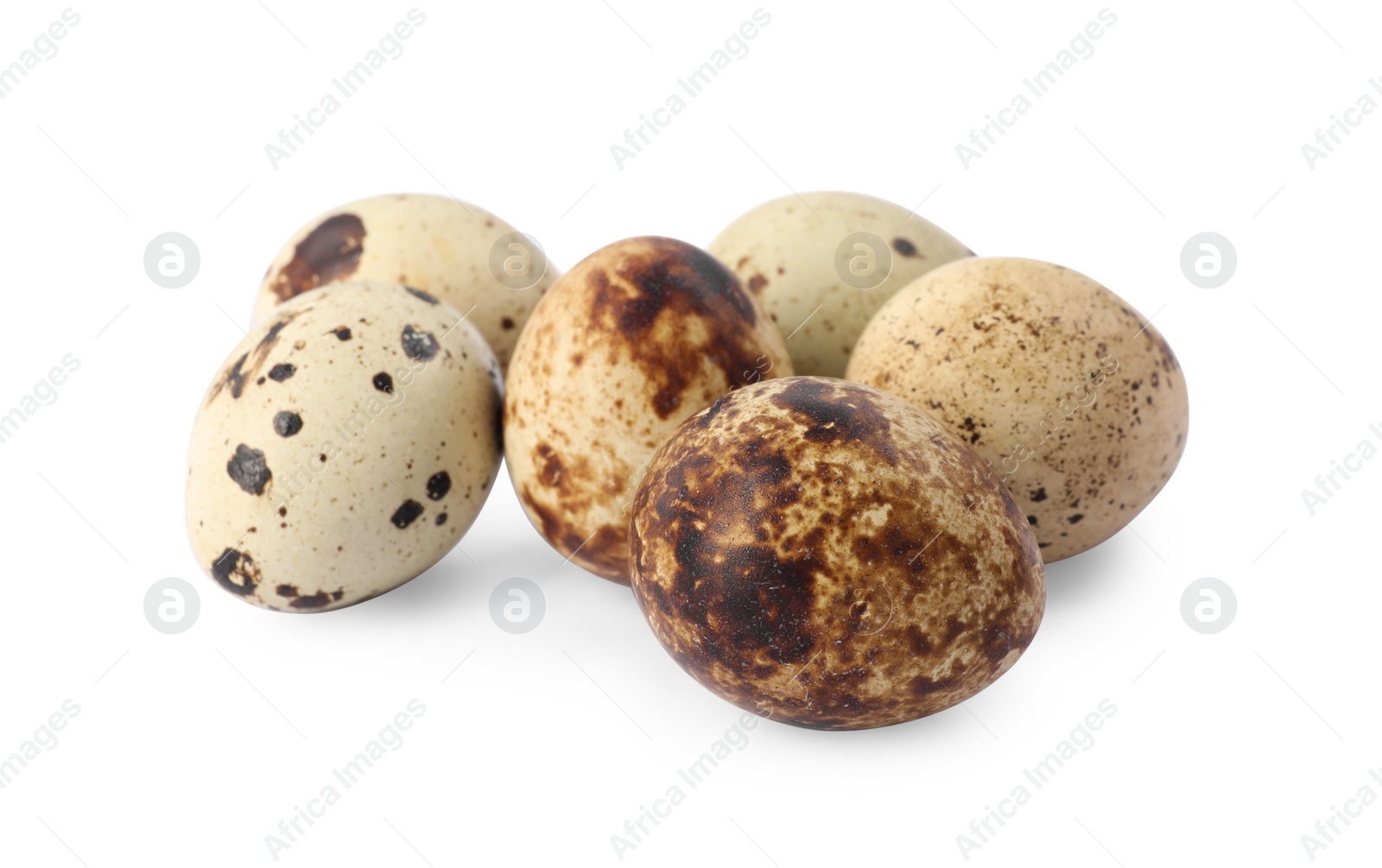 Photo of Many speckled quail eggs on white background