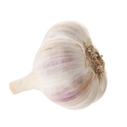 Photo of Unpeeled head of fresh garlic isolated on white