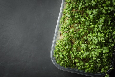 Photo of Sprouted arugula seeds in plastic container on grey table, top view. Space for text