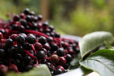 Photo of Pile of tasty elderberries (Sambucus) on blurred background, closeup