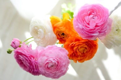 Bouquet of beautiful ranunculus flowers near window on floor, top view