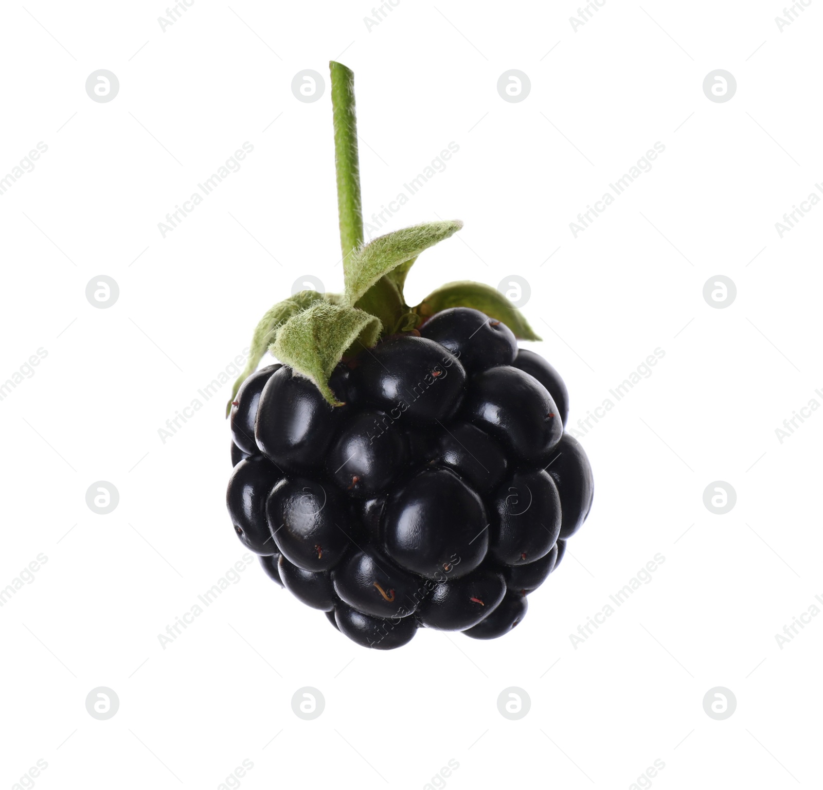 Photo of Delicious fresh ripe blackberry isolated on white