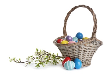 Photo of Painted Easter eggs in wicker basket and blossoming branches on white background