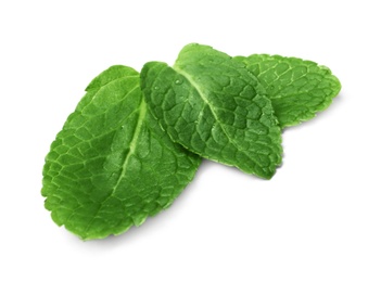 Photo of Wet leaves of fresh mint isolated on white