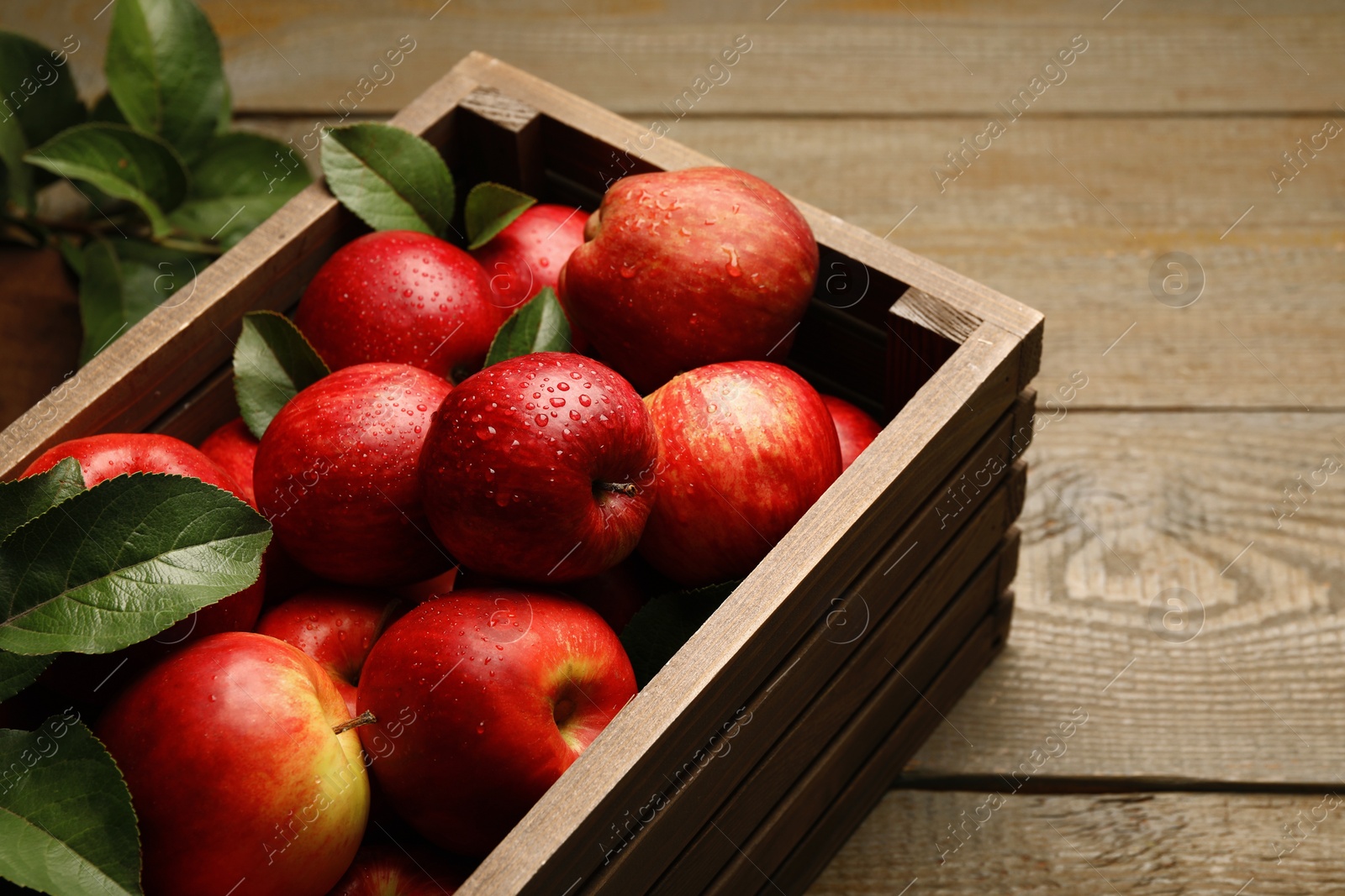 Photo of Ripe red apples with water drops in crate and green leaves on wooden table