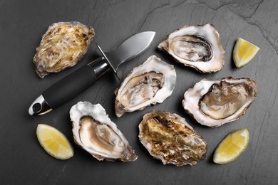 Photo of Fresh oysters with lemon and knife on black table, flat lay