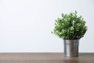 Photo of Aromatic green potted thyme on wooden table against white background, space for text