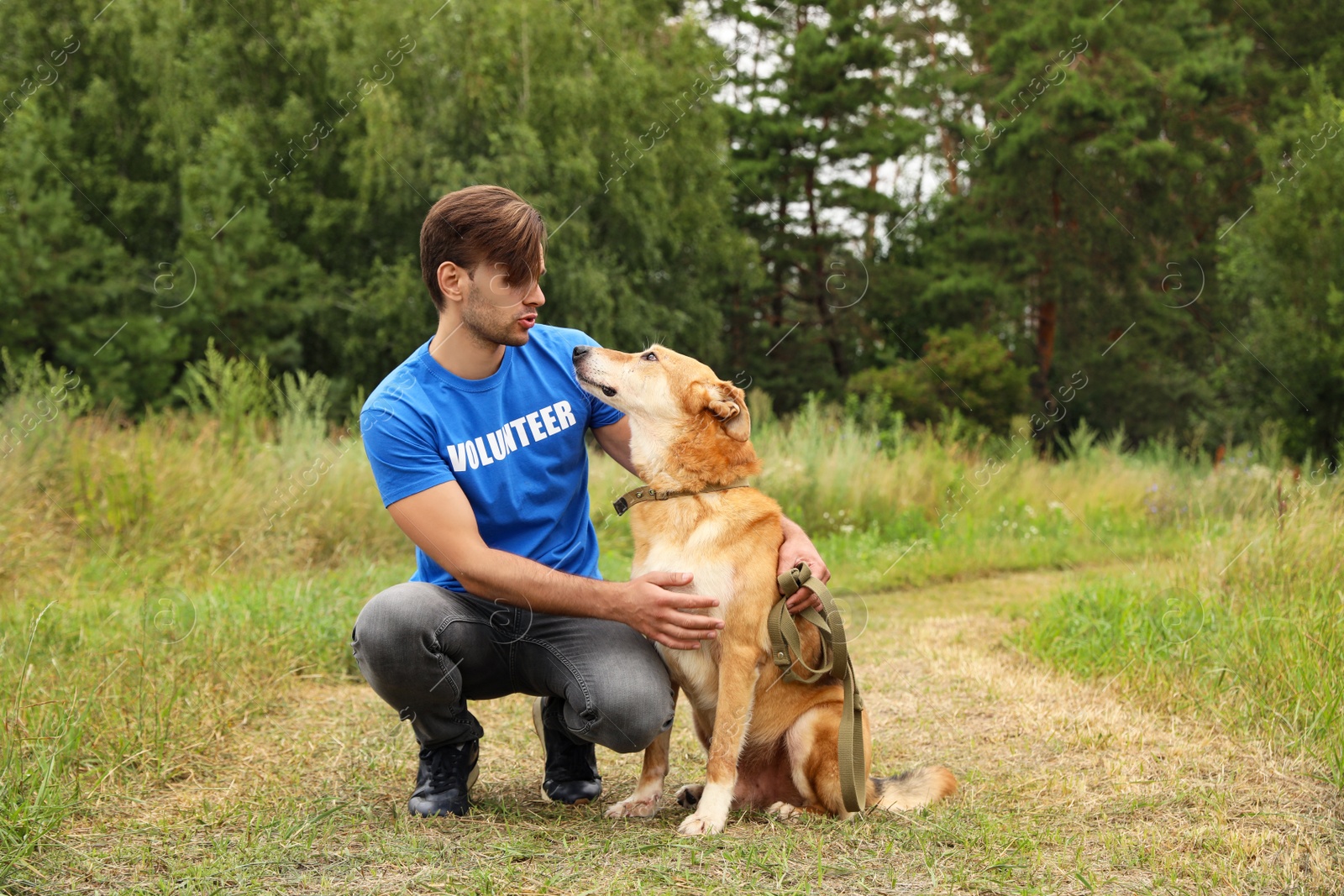 Photo of Male volunteer with homeless dog at animal shelter outdoors