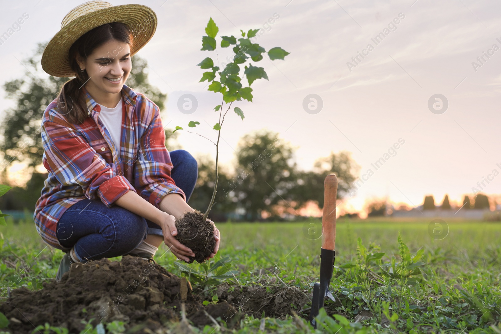 Photo of Young woman planting tree in countryside, space for text