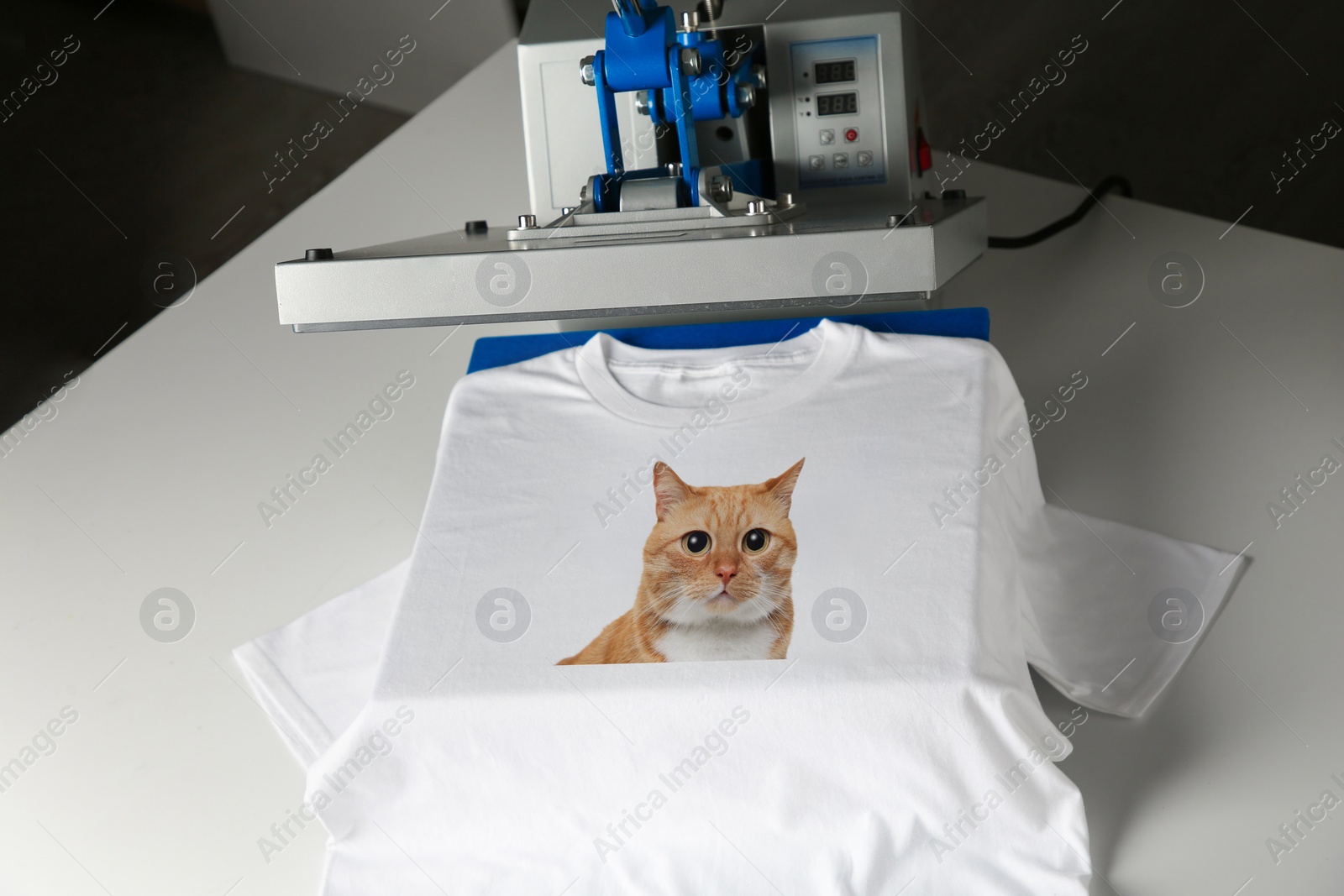 Image of Custom t-shirt. Using heat press to print photo of cute ginger cat