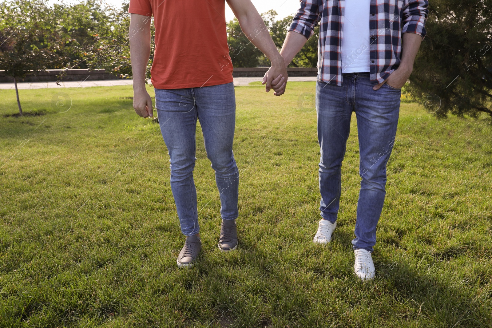 Photo of Gay couple walking in park on sunny day, closeup