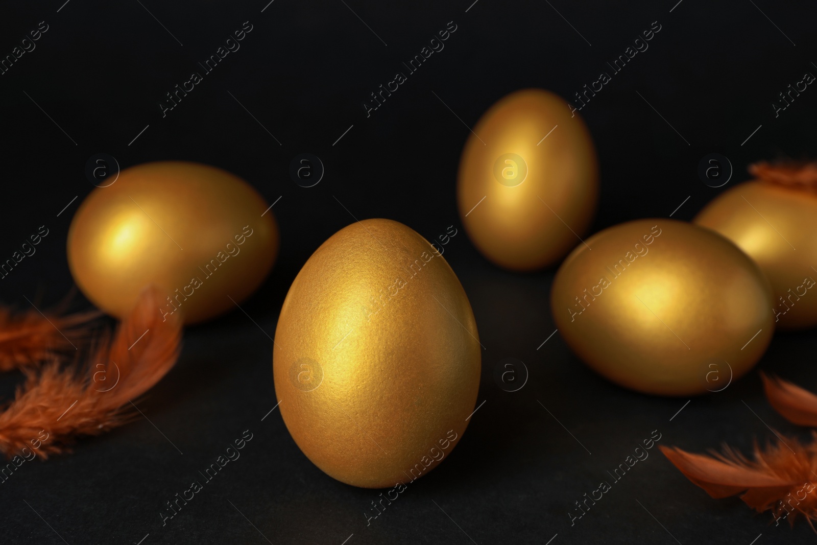 Photo of Shiny golden eggs and feathers on black background