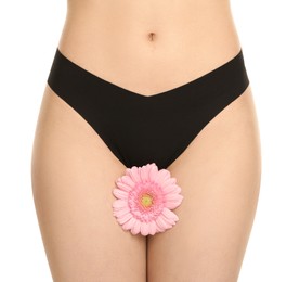 Gynecology. Woman in underwear with gerbera flower on white background, closeup