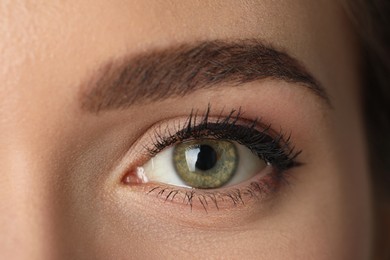 Photo of Beautiful woman with perfect eyebrow, closeup. Permanent makeup