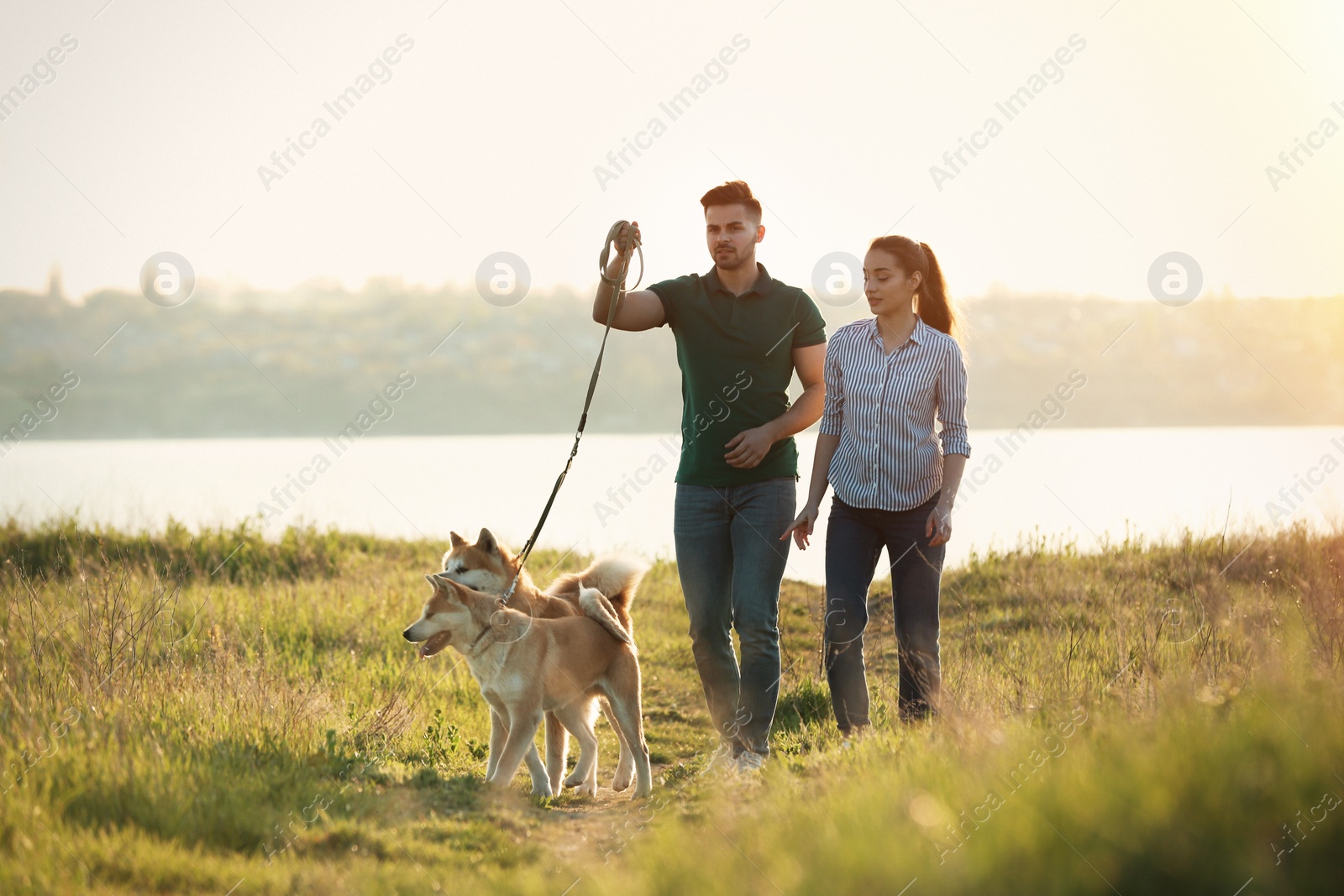 Photo of Young couple walking their adorable Akita Inu dogs near river