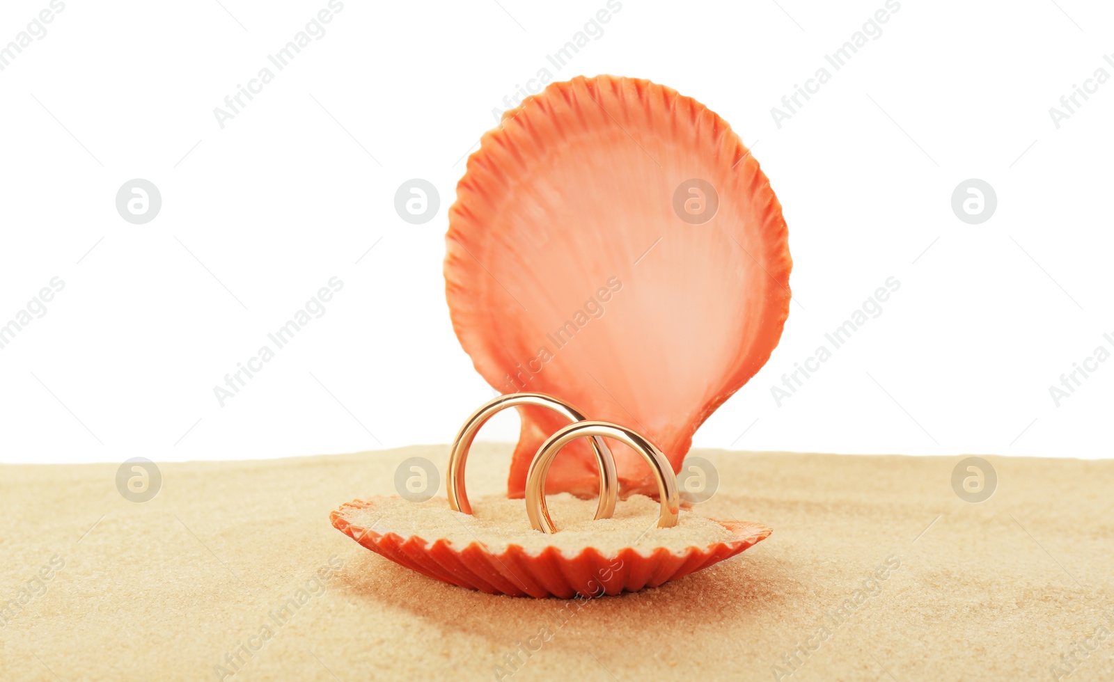 Photo of Honeymoon concept. Two golden rings in shell and sand isolated on white