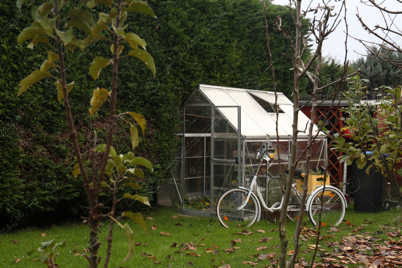 Photo of Beautiful lawn with fallen leaves, greenhouse and bicycle in backyard