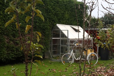 Beautiful lawn with fallen leaves, greenhouse and bicycle in backyard