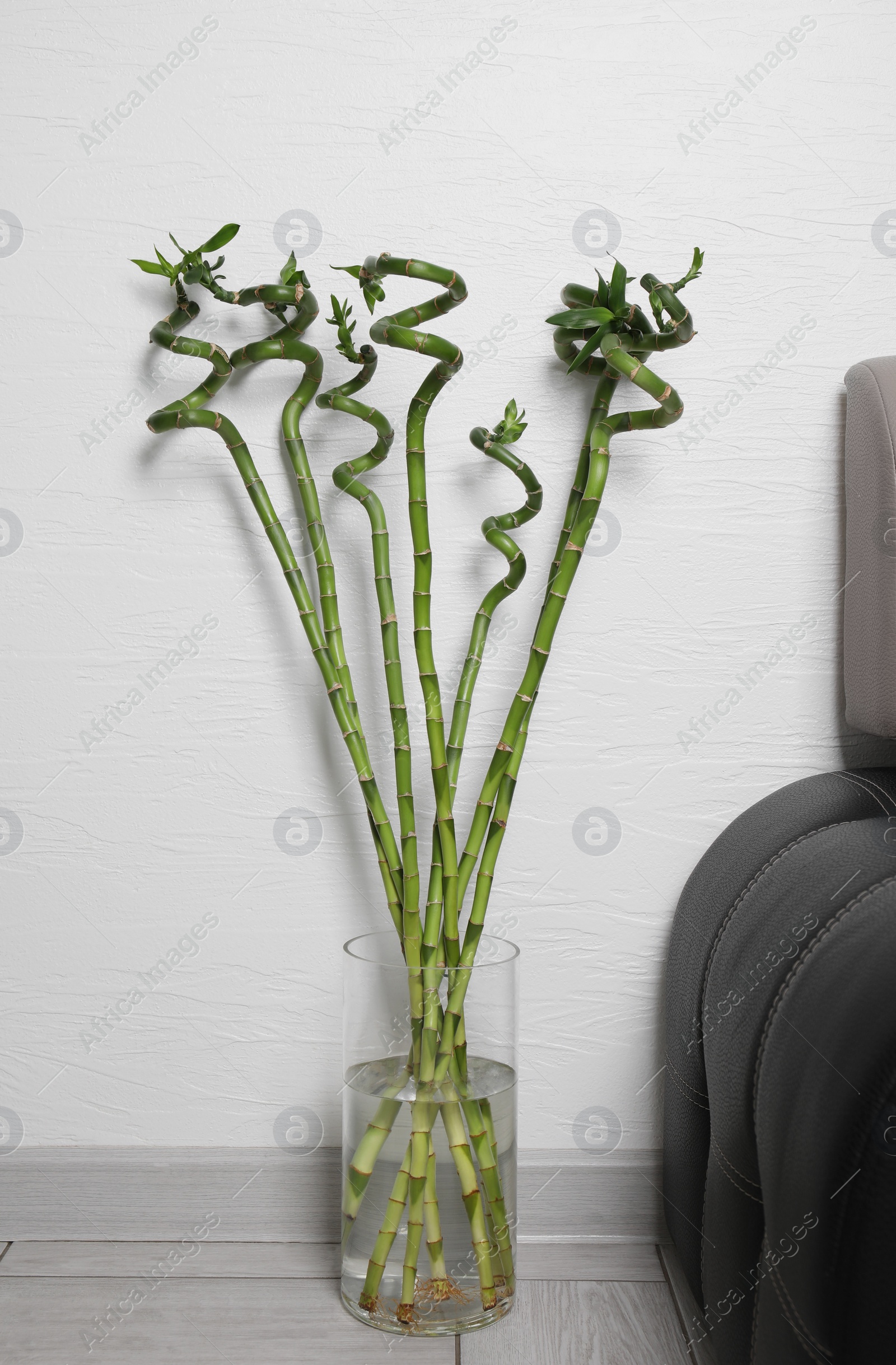 Photo of Vase with beautiful green bamboo stems near couch indoors