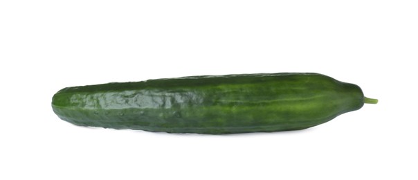 Whole fresh green cucumber isolated on white