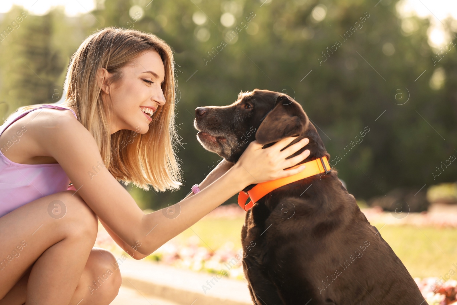 Photo of Cute brown labrador retriever with owner outdoors