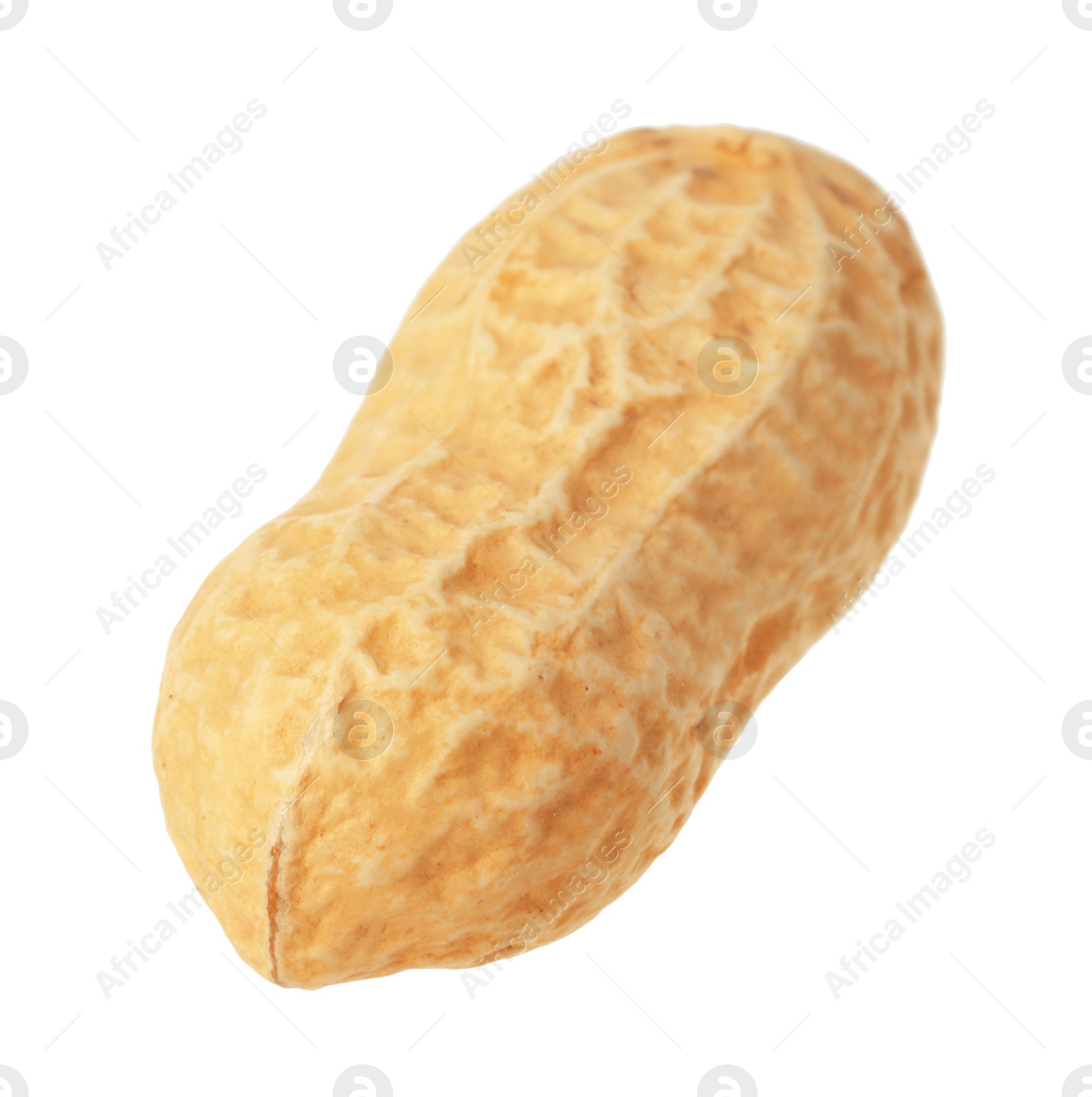 Photo of One fresh unpeeled peanut isolated on white