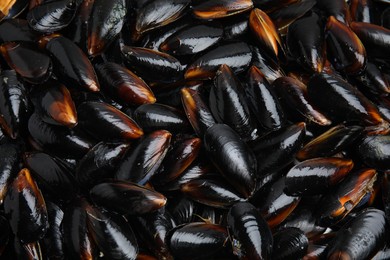 Photo of Heap of raw mussels in shells as background, top view