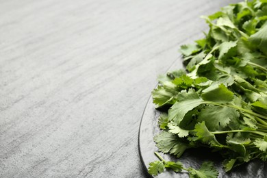 Photo of Fresh coriander on dark gray textured table, space for text
