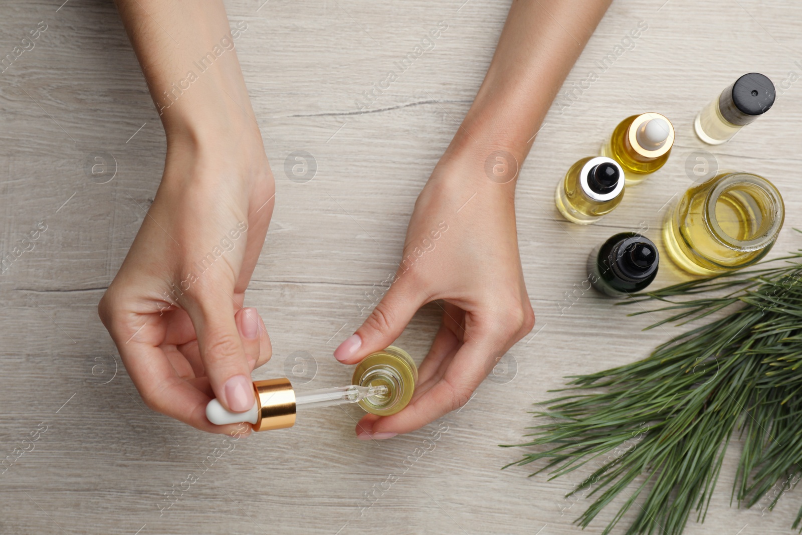 Photo of Woman holding bottle with pine essential oil at light wooden table, top view