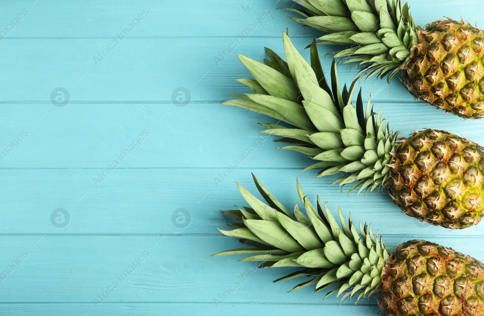 Photo of Fresh ripe juicy pineapples on light blue wooden table, flat lay. Space for text