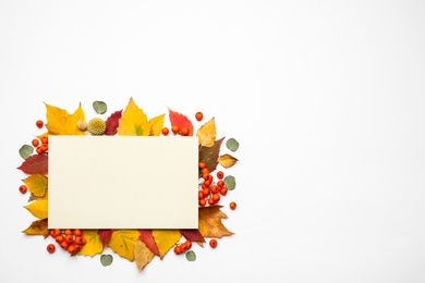 Flat lay composition with autumn leaves and blank card on white background, space for text