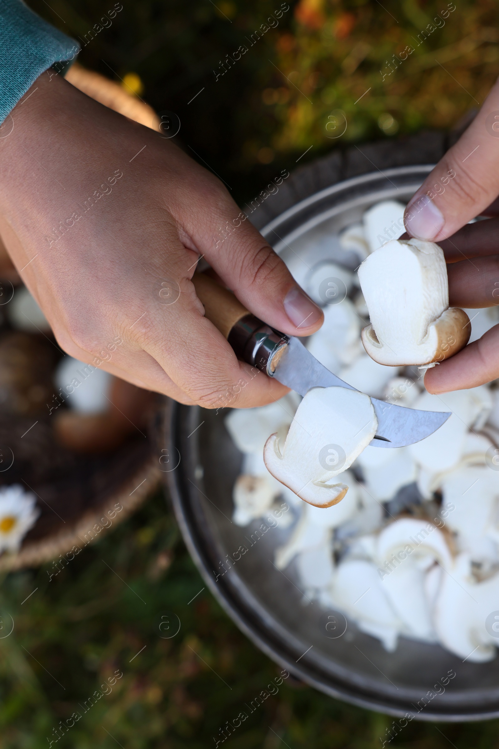 Photo of Man slicing freshly picked mushrooms outdoors, closeup