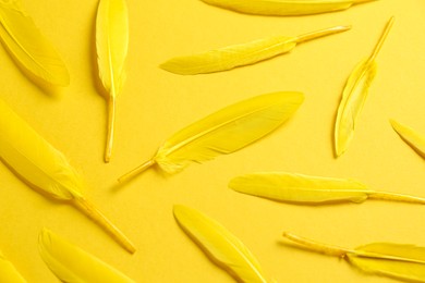 Photo of Bright beautiful feathers on yellow background, flat lay