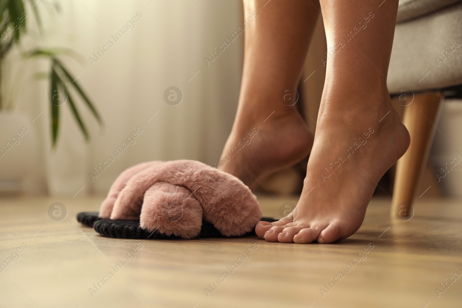 Photo of Woman with fluffy slippers at home, closeup