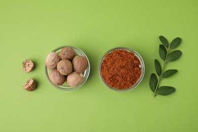 Photo of Nutmeg powder, seeds and branch on light green background, flat lay