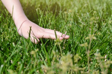 Woman touching fresh grass on green lawn, closeup