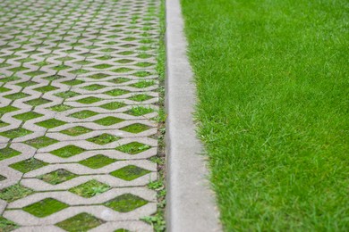 View of sidewalk path and fresh green grass on sunny day. Footpath covering
