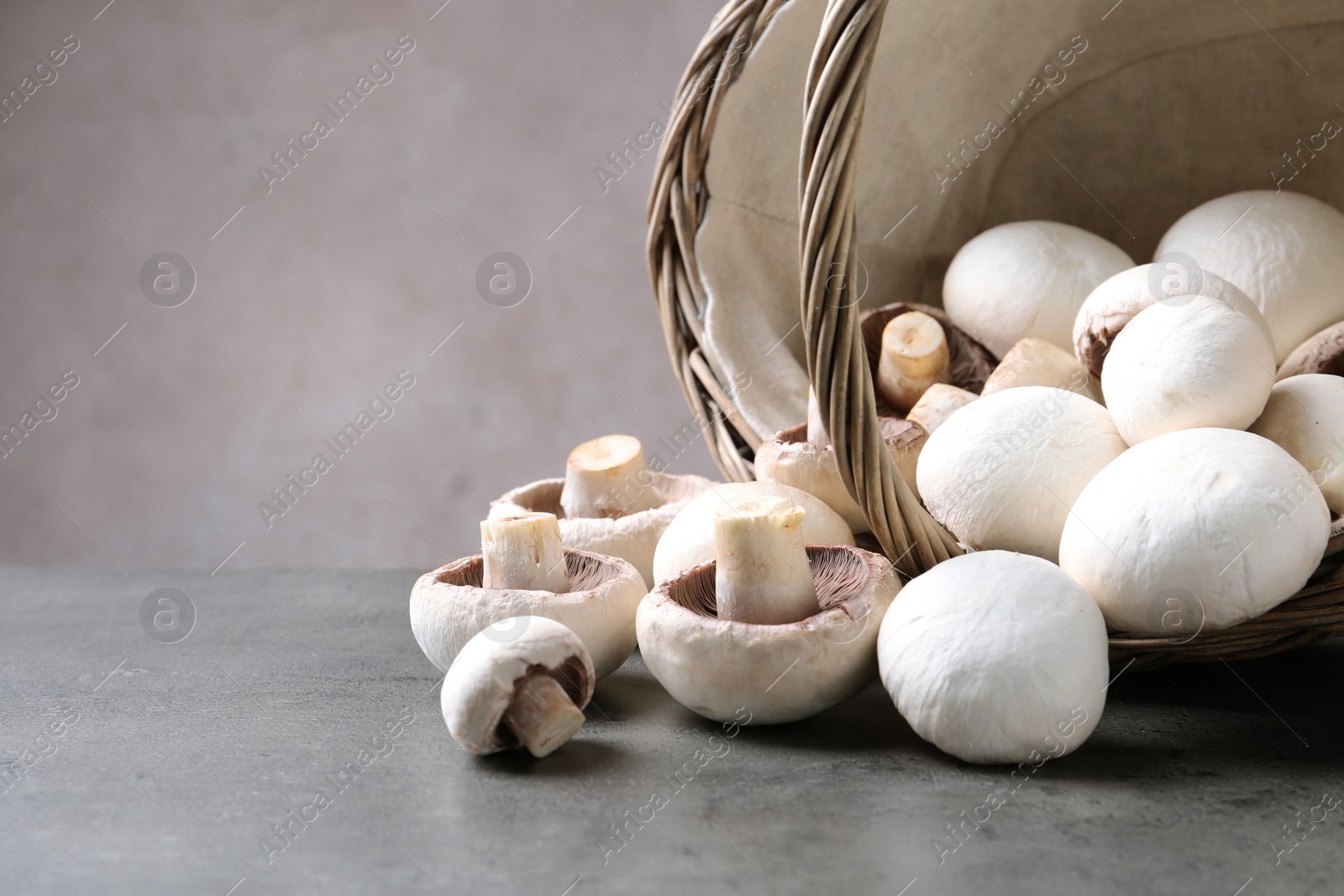 Photo of Fresh champignon mushrooms scattered from basket on table, closeup. Space for text