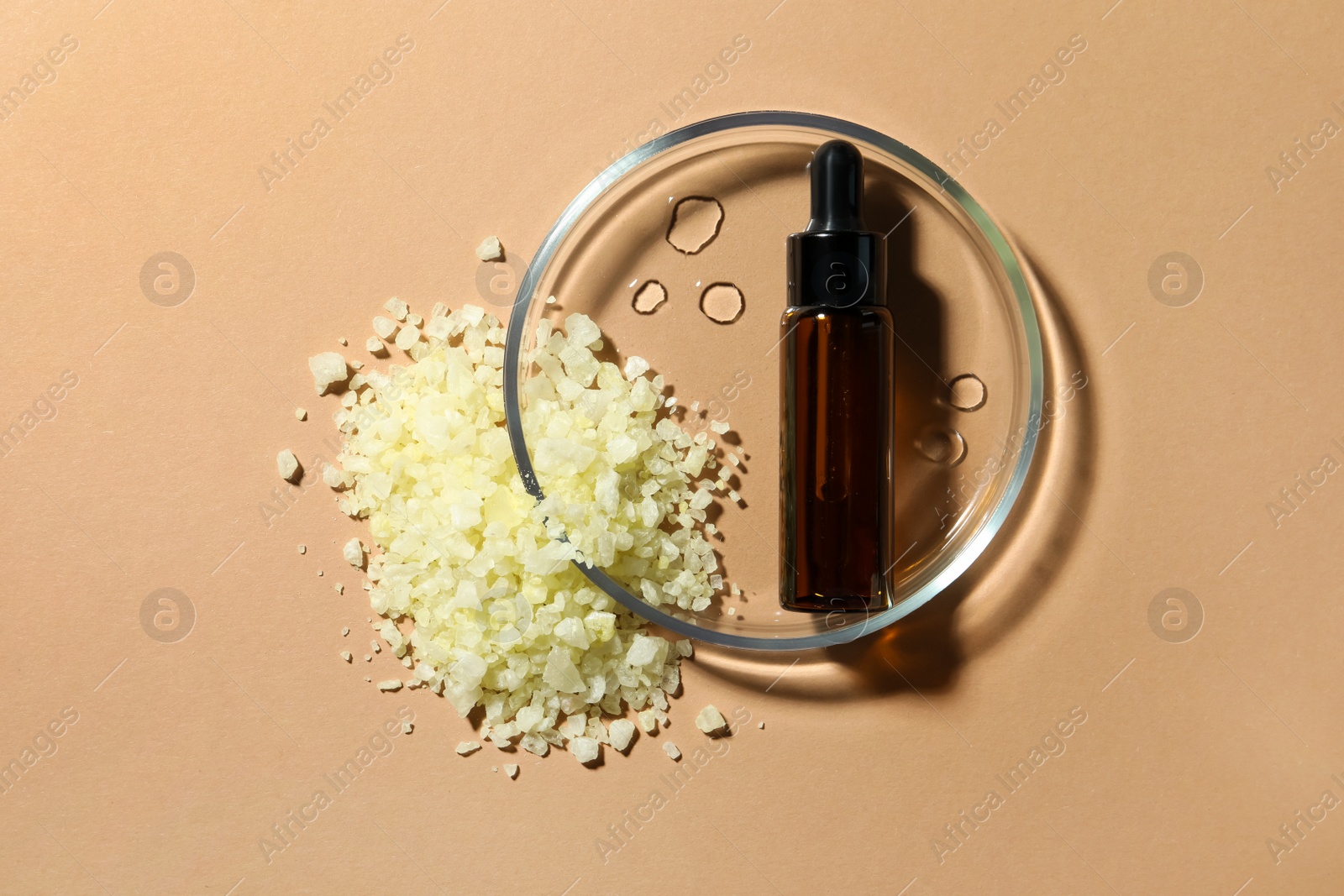 Photo of Petri dish with bottle and ingredient on beige background, flat lay